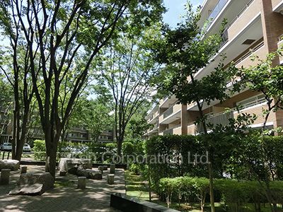 Courtyard/Greenery