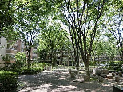 Courtyard/Greenery