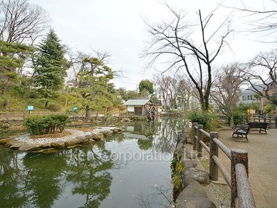 Neighborhood