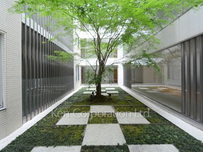 Courtyard/Greenery