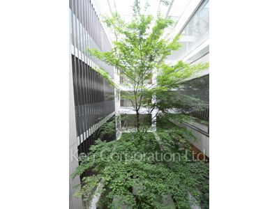 Courtyard/Greenery