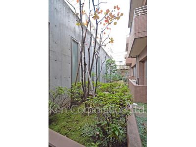  Courtyard/Greenery