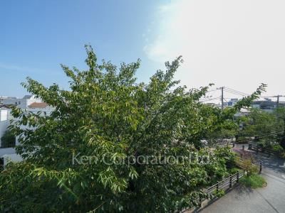 View from building