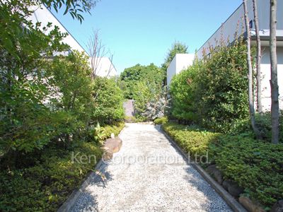  Courtyard/Greenery