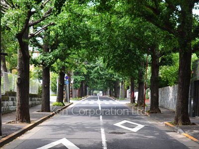 Neighborhood