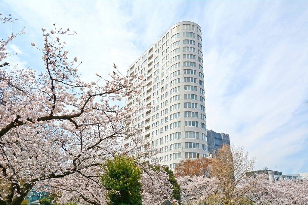 AOYAMA THE TOWER