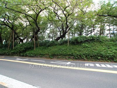 Road on the facade