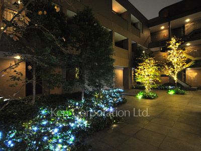  Courtyard/Greenery