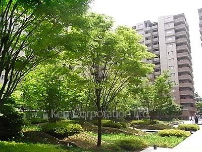  Courtyard/Greenery