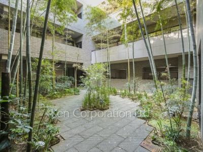  Courtyard/Greenery