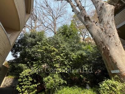  Courtyard/Greenery
