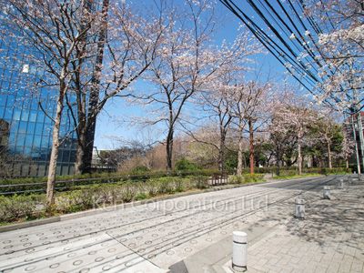  Neighborhood