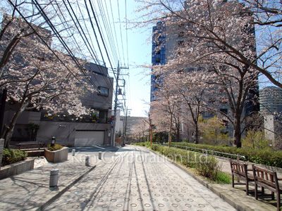  Neighborhood