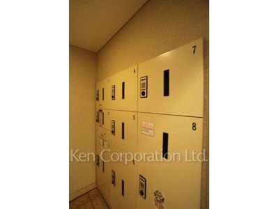 Mail/Delivery box