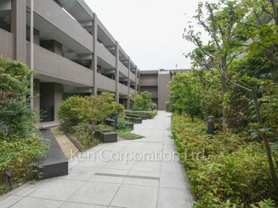 Courtyard/Greenery