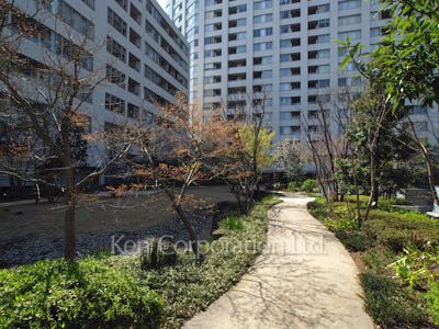 Courtyard/Greenery