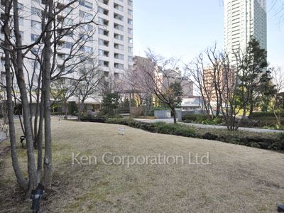 Courtyard/Greenery