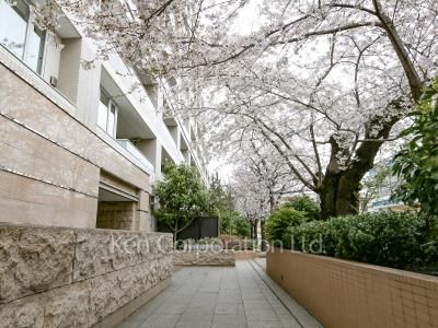  Courtyard/Greenery