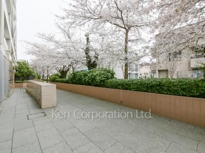  Courtyard/Greenery