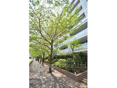 Courtyard/Greenery