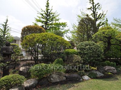 Courtyard/Greenery