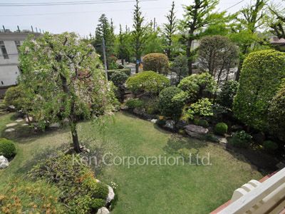 Courtyard/Greenery