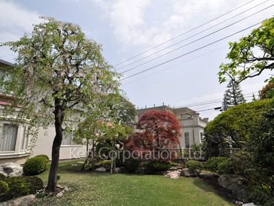 Courtyard/Greenery