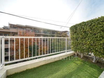 Private yard/Garden