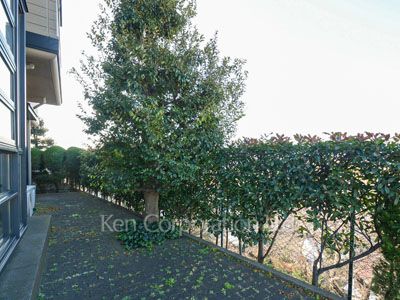 Yard/Garden