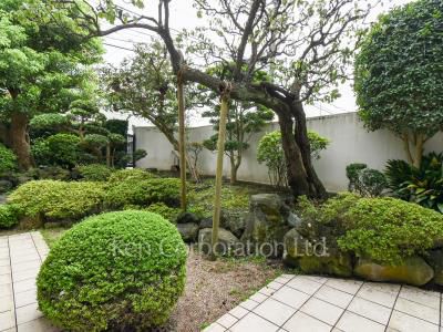 Yard/Garden