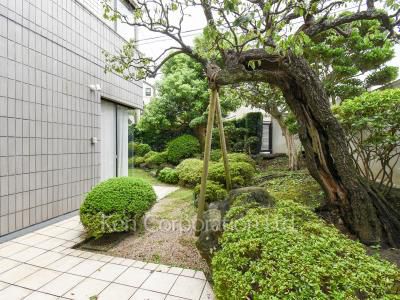 Yard/Garden