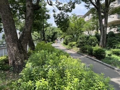  Neighborhood