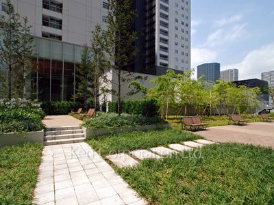 Courtyard/Greenery