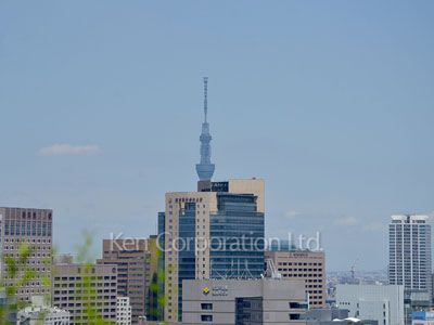 View from building