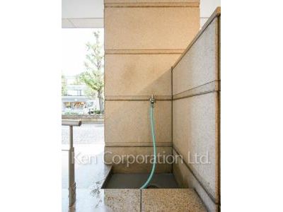 Foot shower for pet