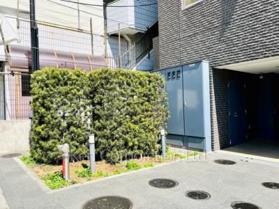 Courtyard/Greenery