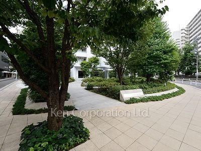 Courtyard/Greenery