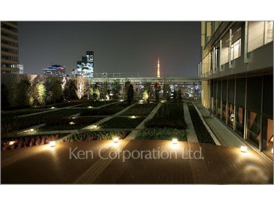 Courtyard/Greenery