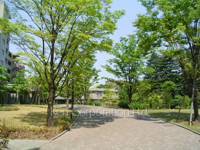  Courtyard/Greenery