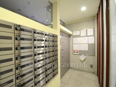  Mail/Delivery box