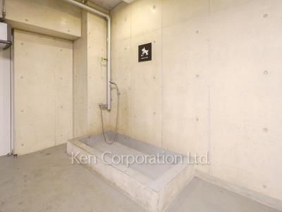 Foot shower for pet