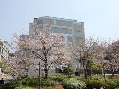  Exterior from afar