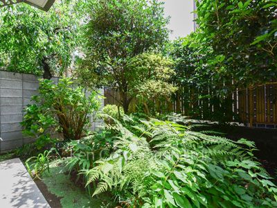  Courtyard/Greenery