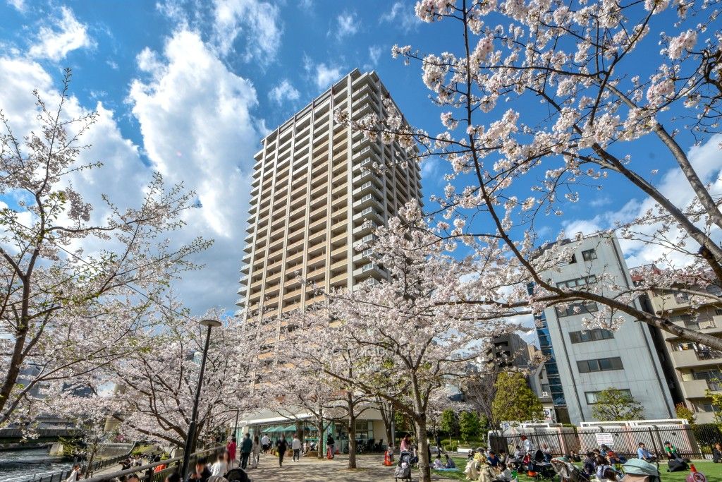 Kei condo｜ピッチャー 81skjgzFjsL._UF350,350_QL80_.jpg