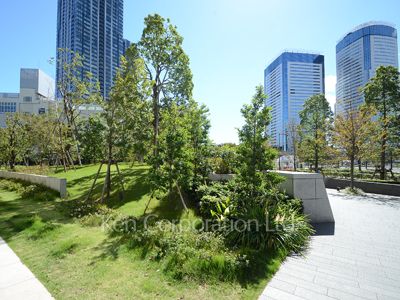 Courtyard/Greenery