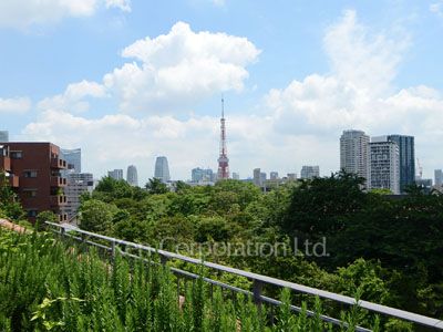  View from building