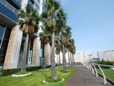 Courtyard/Greenery