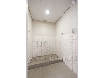 Foot shower for pet