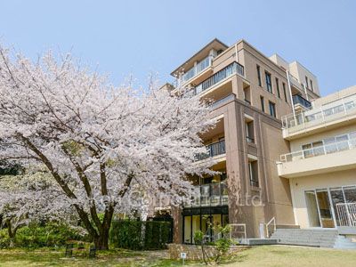  Exterior from afar