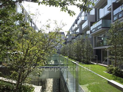 Courtyard/Greenery